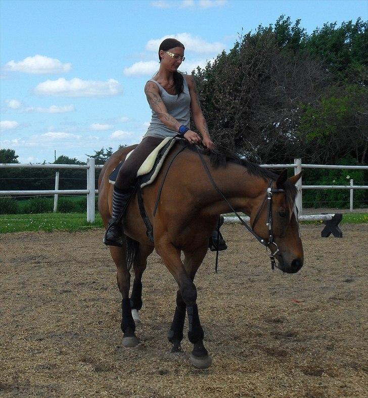 Fuldblod (XX) Perfectionist *R.I.P* billede 16