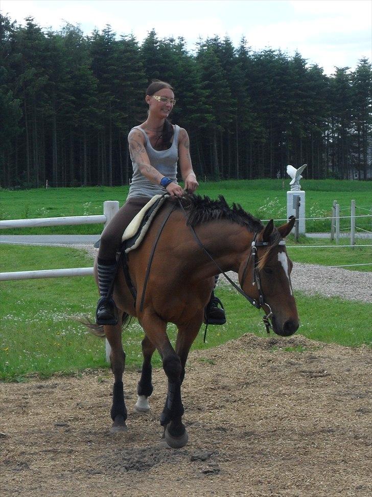 Fuldblod (XX) Perfectionist *R.I.P* billede 17