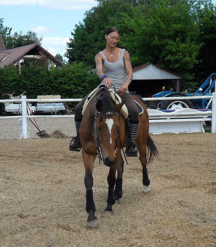 Fuldblod (XX) Perfectionist *R.I.P* billede 18