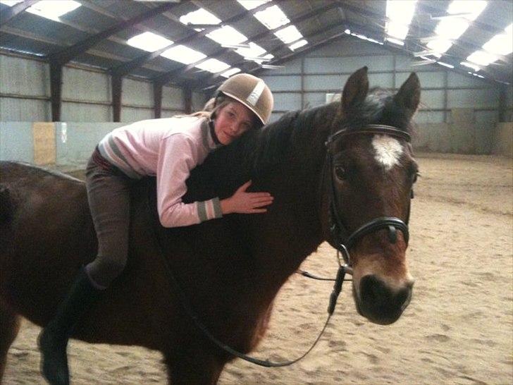 New Forest Yasper billede 2