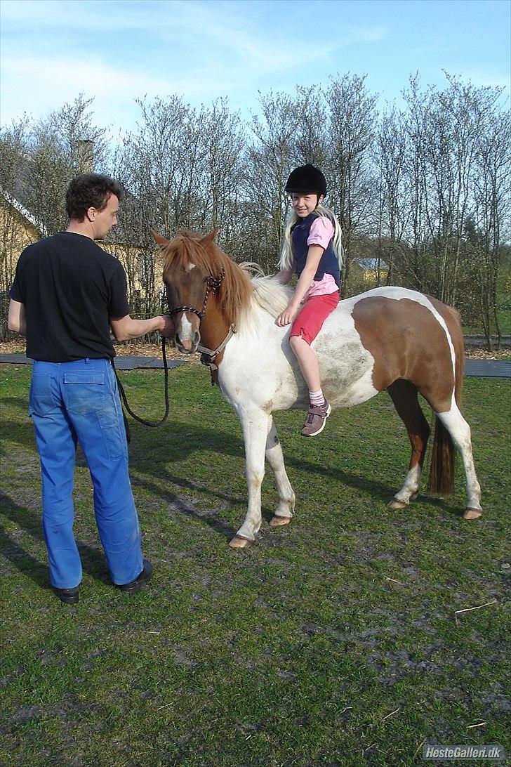 Pinto Spirit billede 18