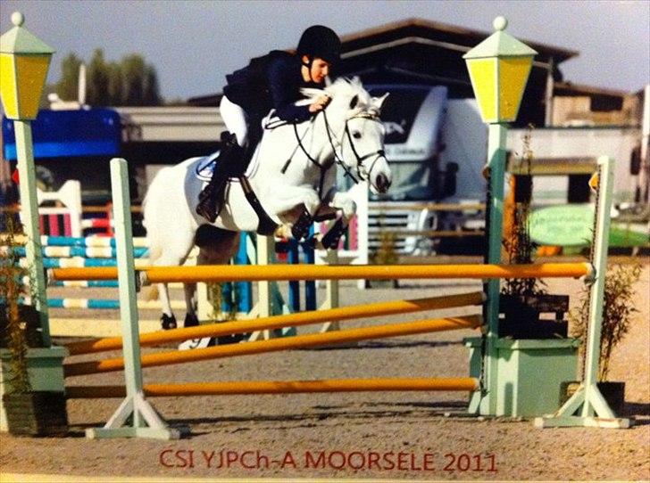 Anden særlig race Stella<3 Solgt d. 21/10-2011 - Stella&jeg i Moorsele 2011 <3  billede 1