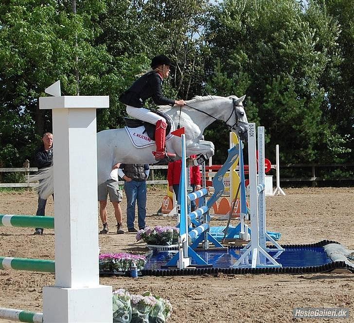 Anden særlig race Stella<3 Solgt d. 21/10-2011 - distriksmesterskab 2009 :p hæhæ billede 16