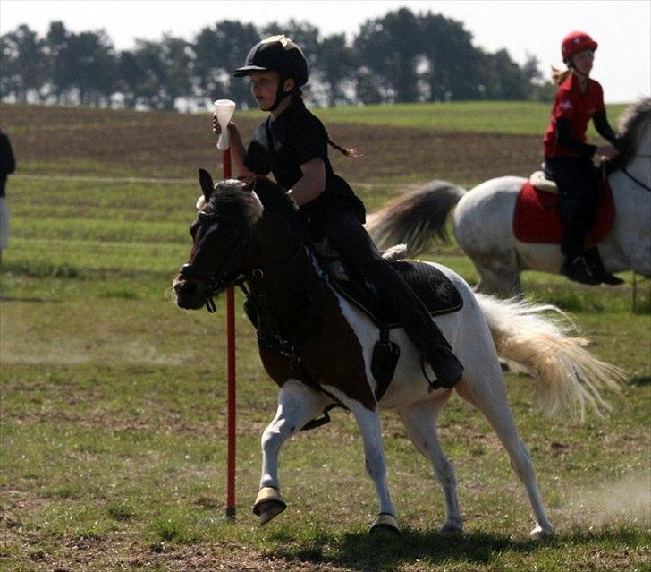 Anden særlig race Revy billede 8