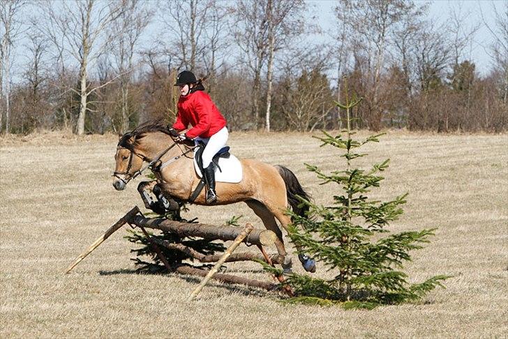 Anden særlig race Klakkebjergs la chevalle - 27/3 2011 Babyjagt <3
-Et af vores mere "vellykkede" sping billede 3