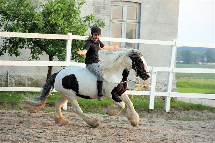 Tinker | Tinka - Fordi vi har tillid til hinanden <3 Foto: Maria Rasch billede 15