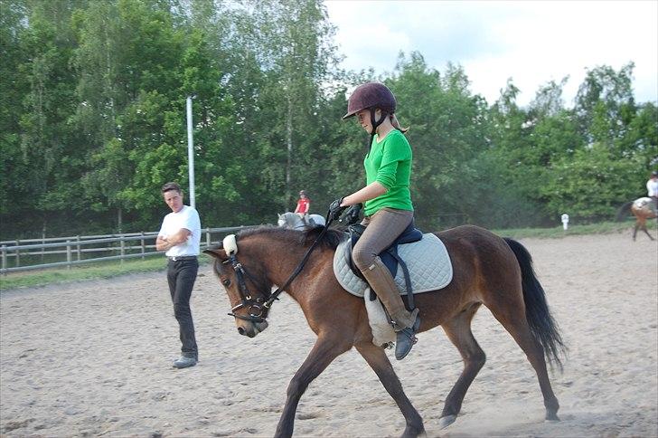 Anden særlig race Sir Arthur - Arthur og jeg, sommeren 2009 <3 billede 2