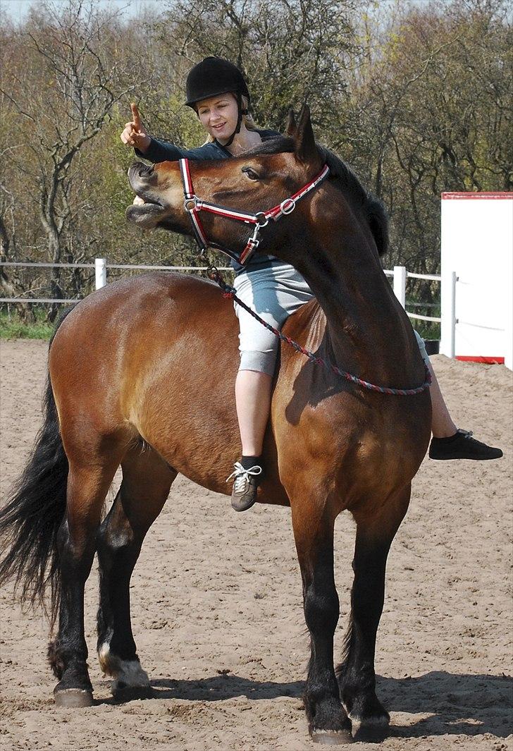 Anden særlig race Elmegaardens Mogcy - Mogcy & Jeg, nu har Mogcy lært at smile fra ryggen af!  d. 25/4-10 (: - Foto Stine billede 4