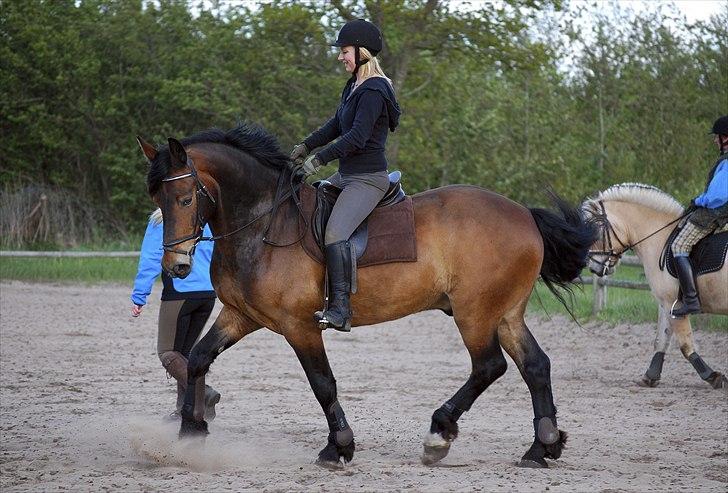 Anden særlig race Elmegaardens Mogcy - Undervisning d. 25-05-10 det går bare frem af ! han er ved at så lækker at ride rundt på(: billede 2