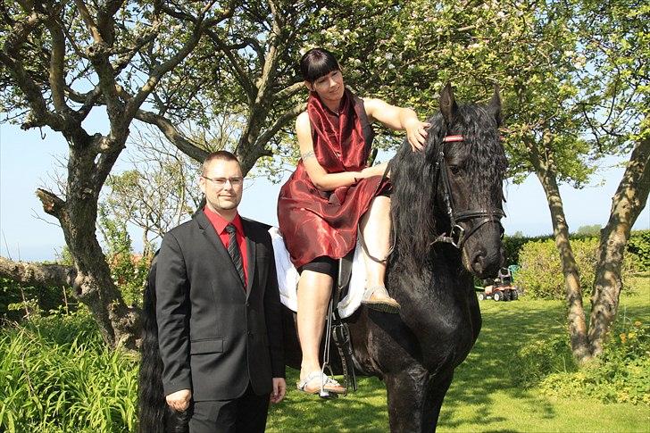 Frieser Zeus Fan Stennissegaard *SOLGT* billede 7