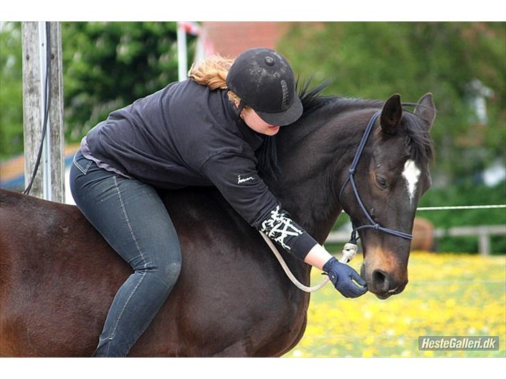 {{currentPhoto.altText}} billede {{currentPhoto.number}}