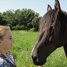 Anden særlig race Flip