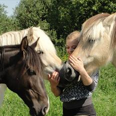 Anden særlig race Flip