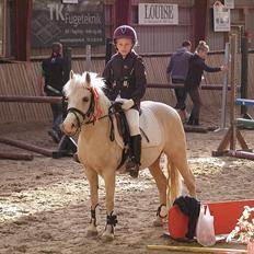 Palomino Lady { solgt:'( }