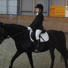 Anden særlig race Sally