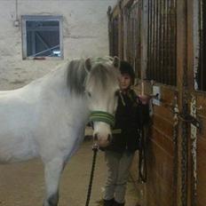 Anden særlig race Bowie <3