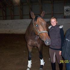 Anden særlig race Rapsodia