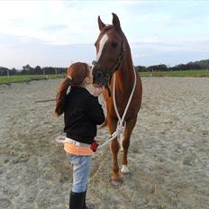 Anden særlig race Desiree