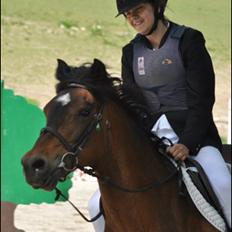 New Forest Moonlight    (rider)