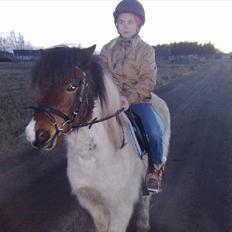 Anden særlig race Indie