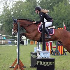 New Forest Primakov <3 R.I.P. 27/10 2011