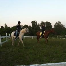 Anden særlig race Juli