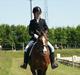 Welsh Pony af Cob-type (sec C) | MENAI LADY CAMILLA *tortillen*