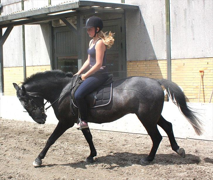 Anden særlig race My own star - rider nogengange :-) - Århh! <3 dejlig dreng!
 billede 3