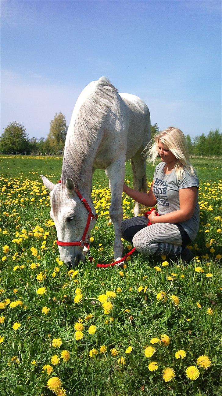 Anden særlig race Prins - <3 billede 14