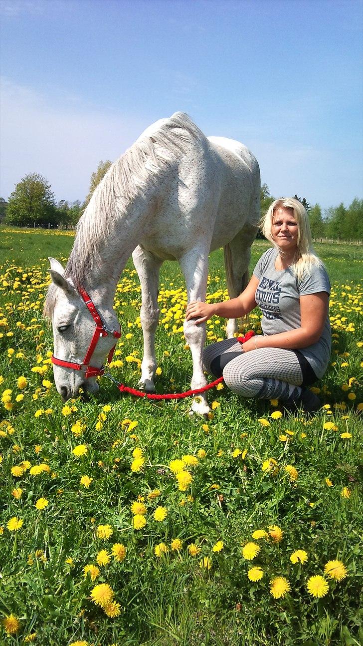 Anden særlig race Prins - <3 billede 15