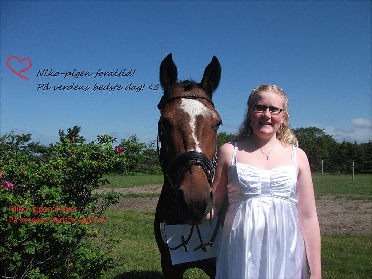 Anden særlig race Nikoline *SOLGT* - Verdens bedste dag!<3 billede 14
