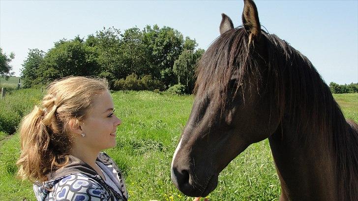 Anden særlig race Flip - Det er mig og min smukke pony:* billede 1