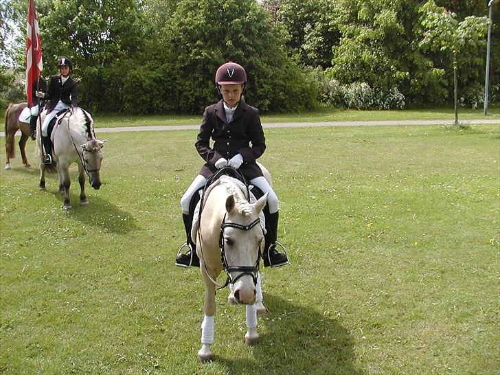Palomino Lady { solgt:'( } - Ved Holm Sø efter at vi har været "i kirke" til konfirmation med Rikke Schultz :) billede 13