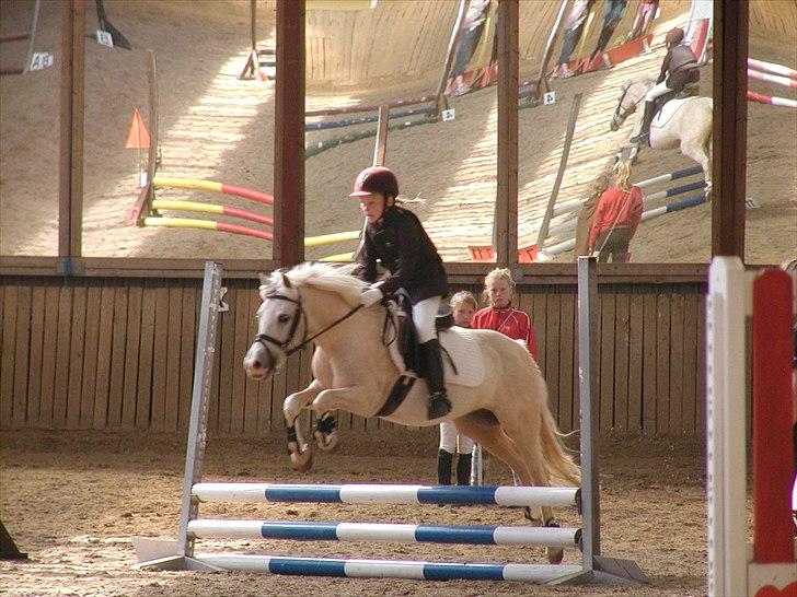 Palomino Lady { solgt:'( } - Super runde og 1. plads i 1. afd. af Region Øst Cup 2011 billede 2