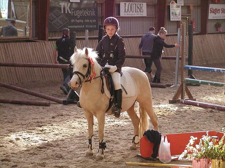 Palomino Lady { solgt:'( } - 1. plads i 1. afd. af Region Øst Cup 2011 i Løgstrup billede 1