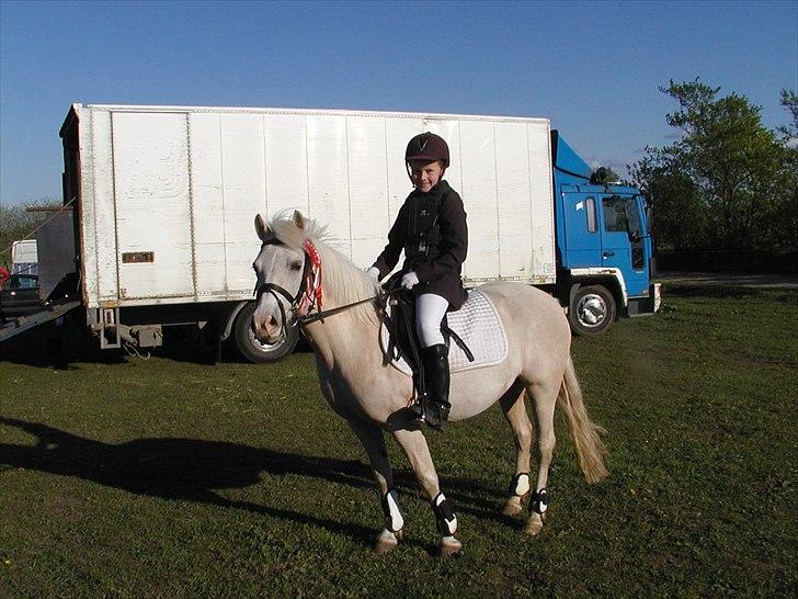 Palomino Lady { solgt:'( } - Min smukke pony med vores første 1. plads :)
 billede 14