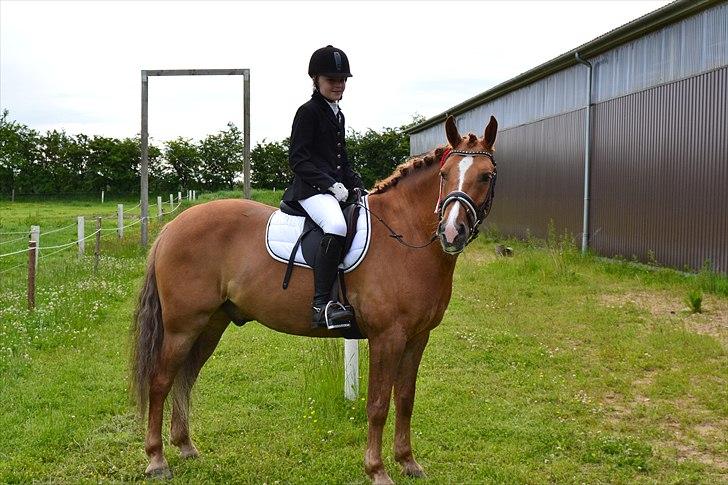 Anden særlig race Egeballes Rafael (Ralle) - Vi vandt to første pladser til vores første stævne billede 12