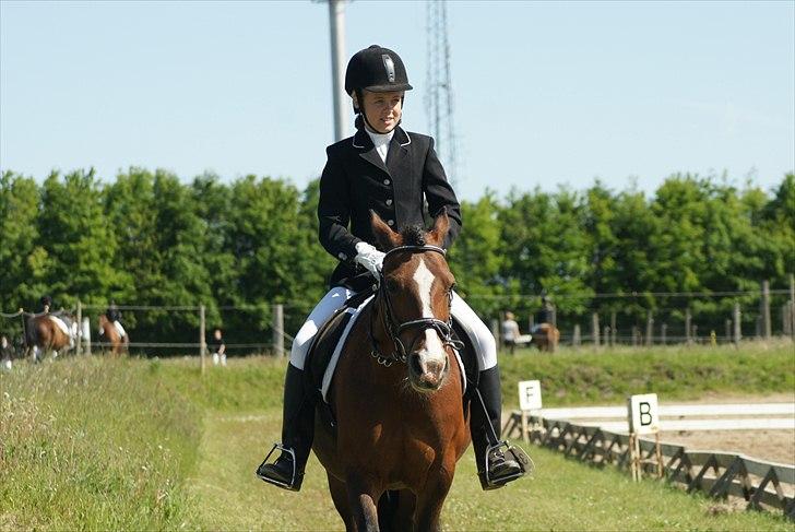 Welsh Pony af Cob-type (sec C) | MENAI LADY CAMILLA *tortillen* - Velkommen til Milla/Tortillens profil!<3 
efter et godt program - 1 plads :-)<3. billede 1