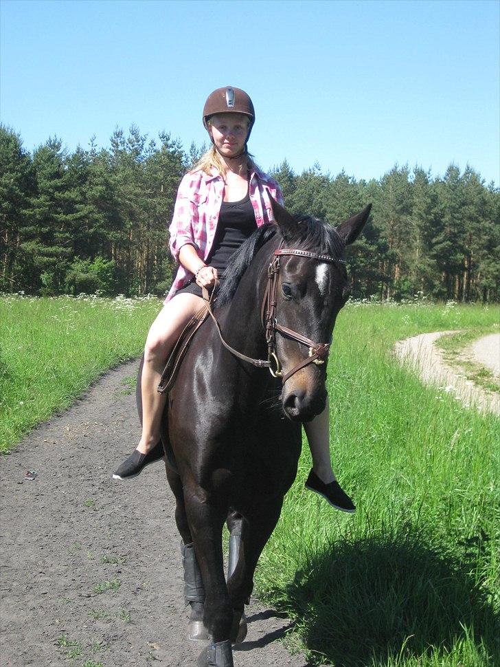 Dansk Varmblod Ajour <3 *Passer :D billede 7