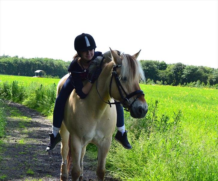 Fjordhest Bredekærgårds Tea R.I.P - You are the stars, the moon, and the sunshine in my life .. Foto: Mor, m. mit Nikon D3100 billede 4