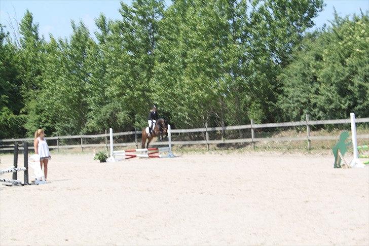 Anden særlig race Espla! :D (Ebbe ! <3)  - Springstævne d. 5/6-11. :D  billede 9