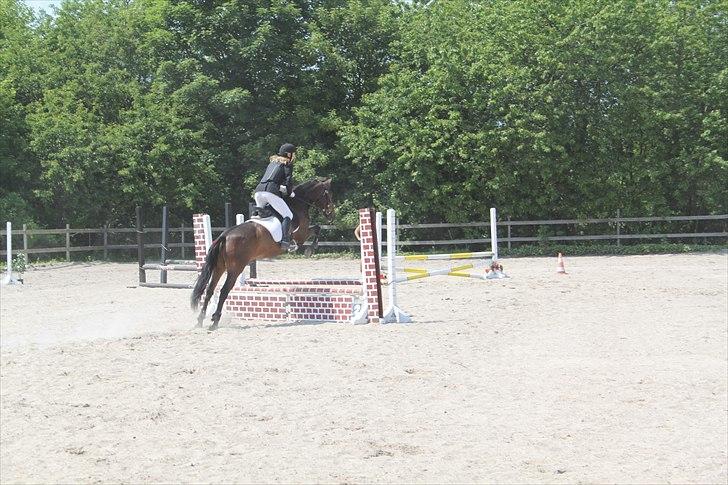 Anden særlig race Espla! :D (Ebbe ! <3)  - Springstævne d. 5/6-11. :D  billede 11