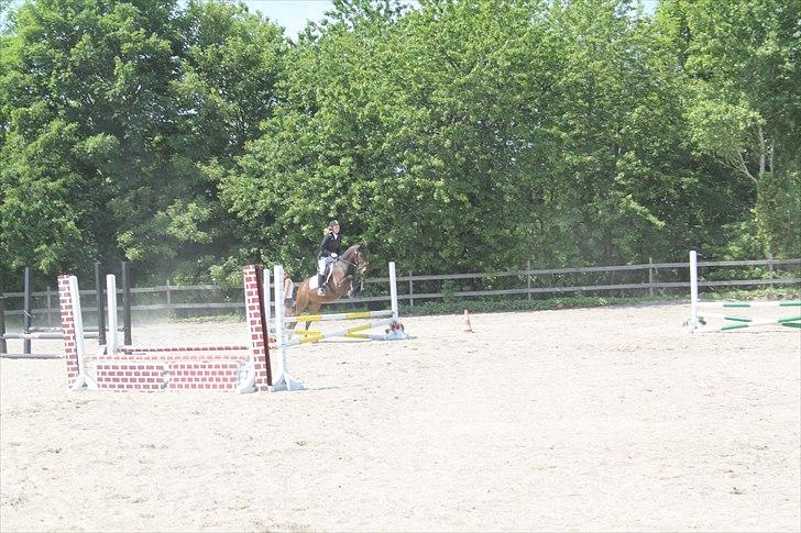 Anden særlig race Espla! :D (Ebbe ! <3)  - Springstævne d. 5/6-11. :D  billede 12