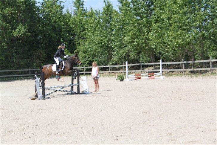 Anden særlig race Espla! :D (Ebbe ! <3)  - Springstævne d. 5/6-11. :D  billede 13