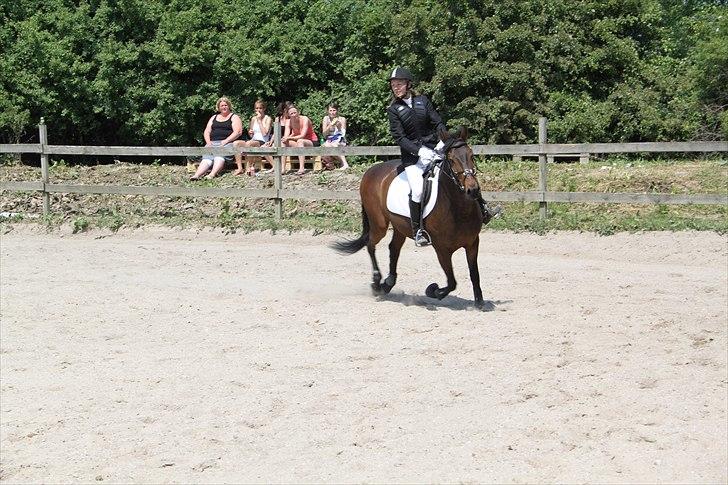 Anden særlig race Espla! :D (Ebbe ! <3)  - Springstævne d. 5/6-11. :D  billede 14