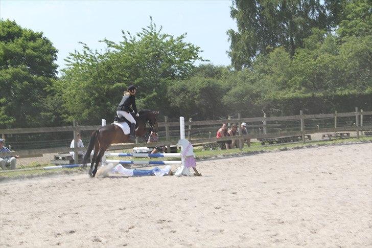 Anden særlig race Espla! :D (Ebbe ! <3)  - Springstævne d. 5/6-11. :D  billede 15