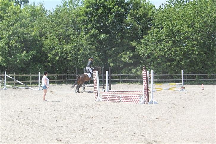 Anden særlig race Espla! :D (Ebbe ! <3)  - Springstævne d. 5/6-11. :D  billede 16