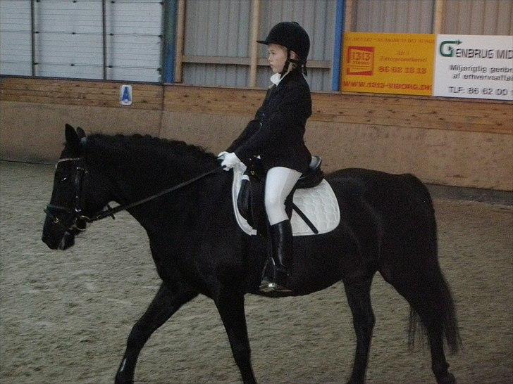 Anden særlig race Sally billede 3