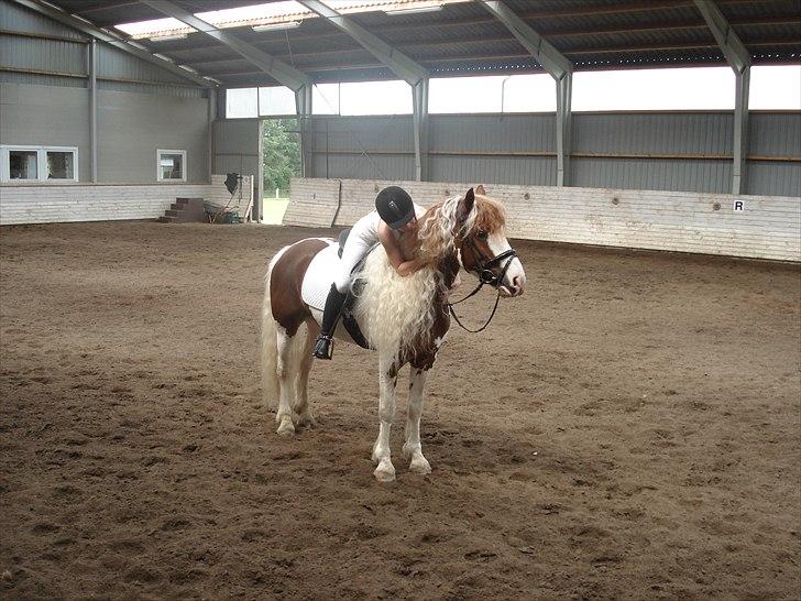 Anden særlig race Golden Atlas - Stævne dyret med udflettet man <3 Dejlige krikke dyr :) Foto: Far billede 11