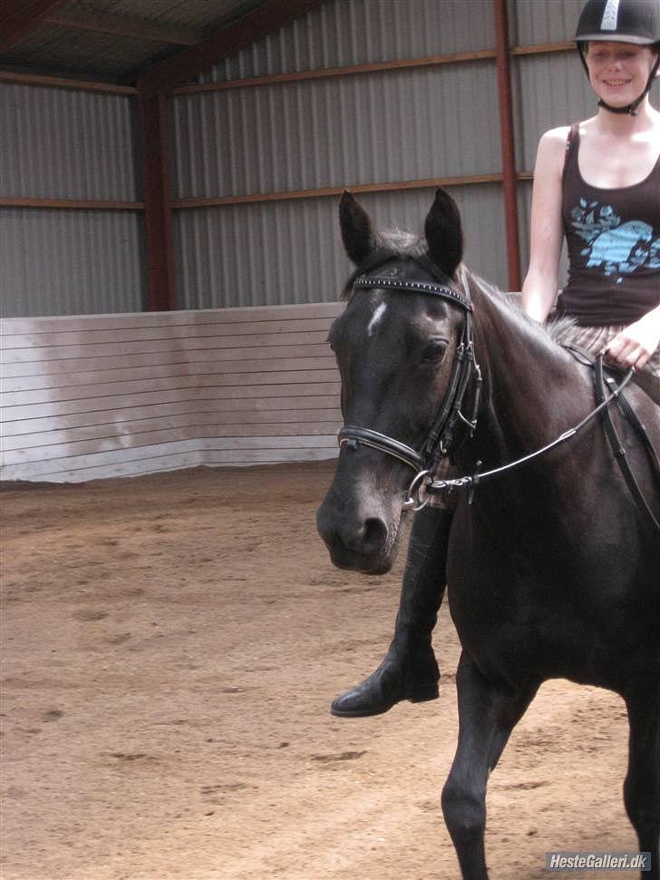 Anden særlig race Esmeralda <3 †18/11-10† - Vi vil og holder altid sammen :') billede 20